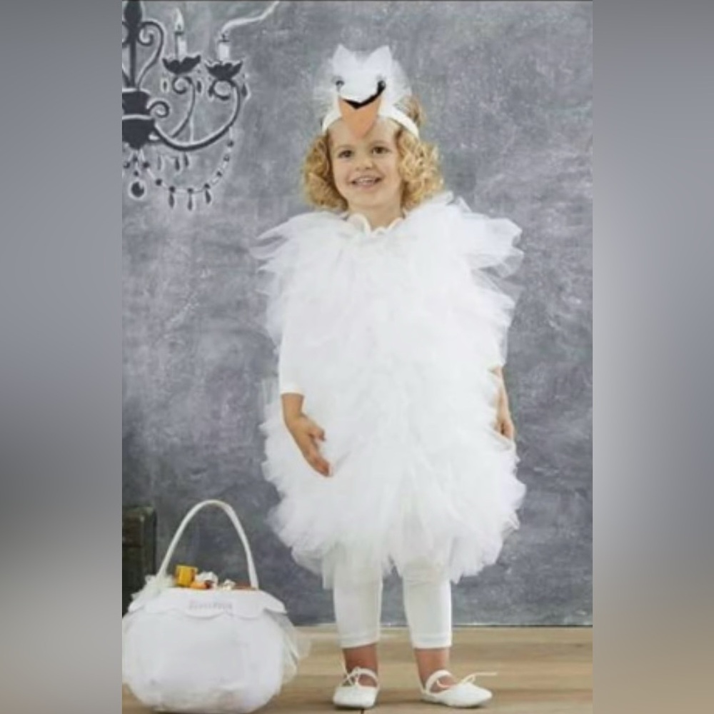 Pottery Barn Kids Elegant Swan Costume - White